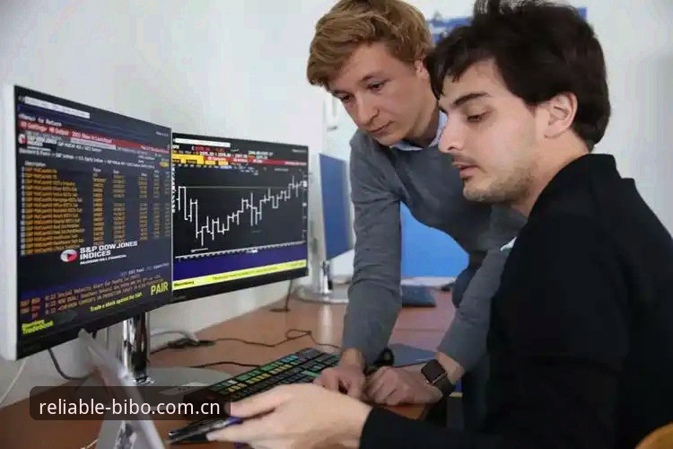 资深玩家经验分享：BIBO必博体育官网深度体验与趋势洞察